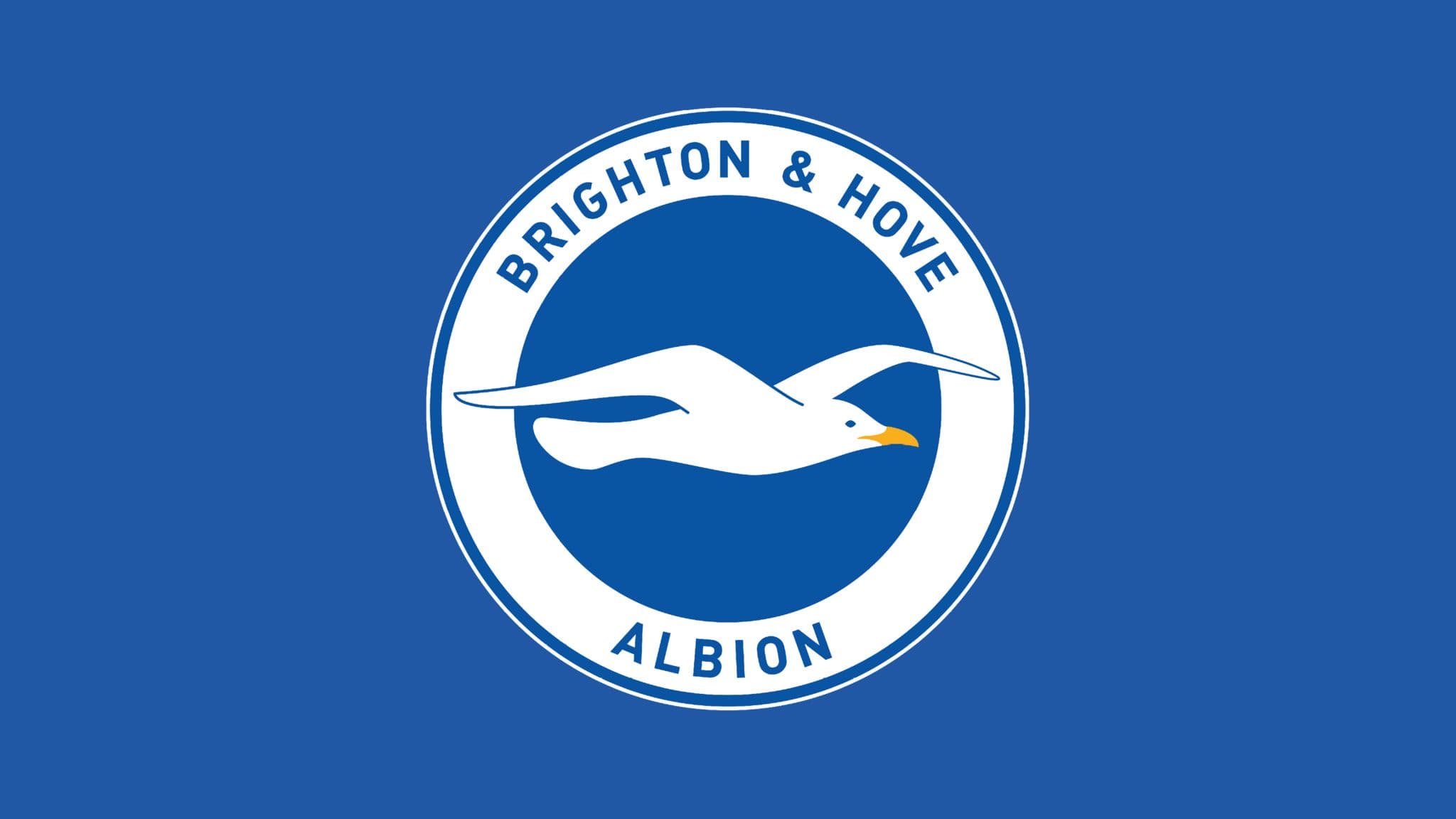 Brighton en Hürzeler